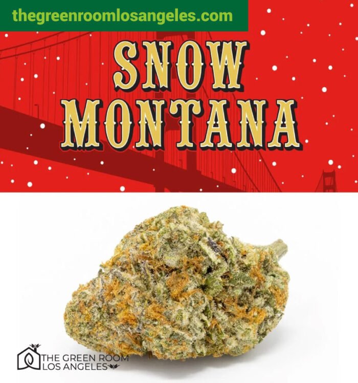 Cookies Snow Montana